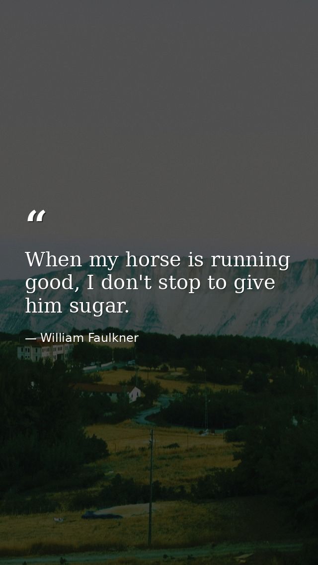 When my horse is running good, I don't stop to give him sugar. — William Faulkner