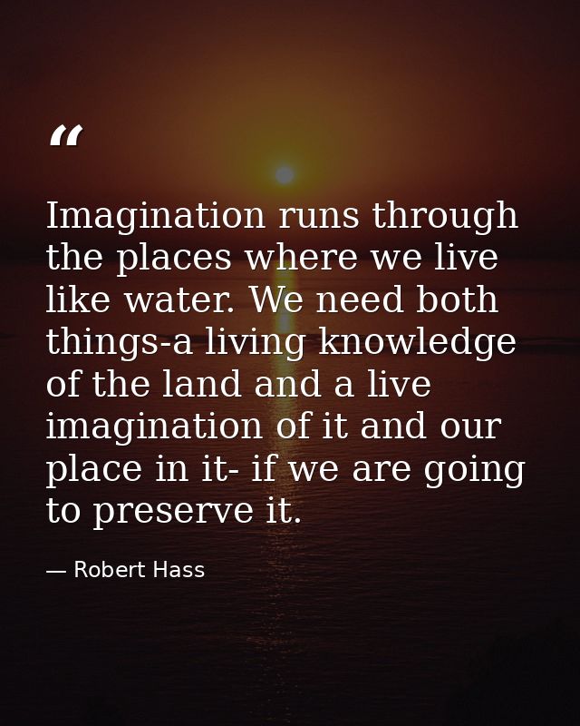 Imagination runs through the places where we live like water. We need both things-a living knowledge of the land and a l — Robert Hass