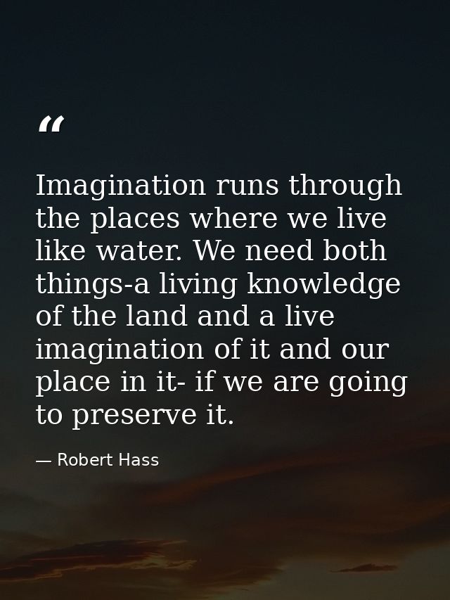 Imagination runs through the places where we live like water. We need both things-a living knowledge of the land and a l — Robert Hass