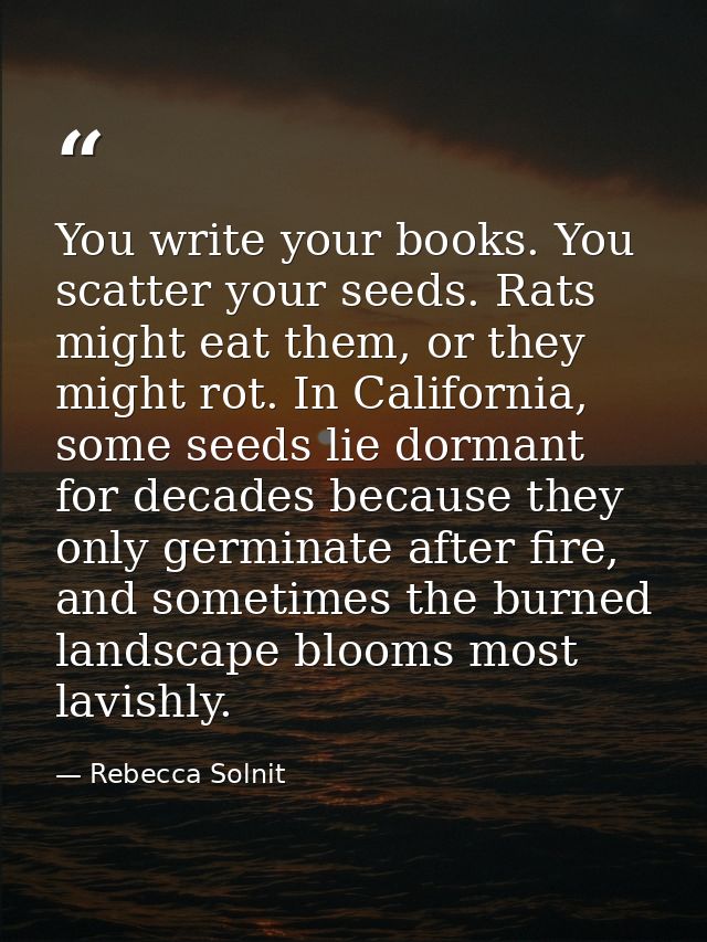 You write your books. You scatter your seeds. Rats might eat them, or they might rot. In California, some seeds lie dorm — Rebecca Solnit