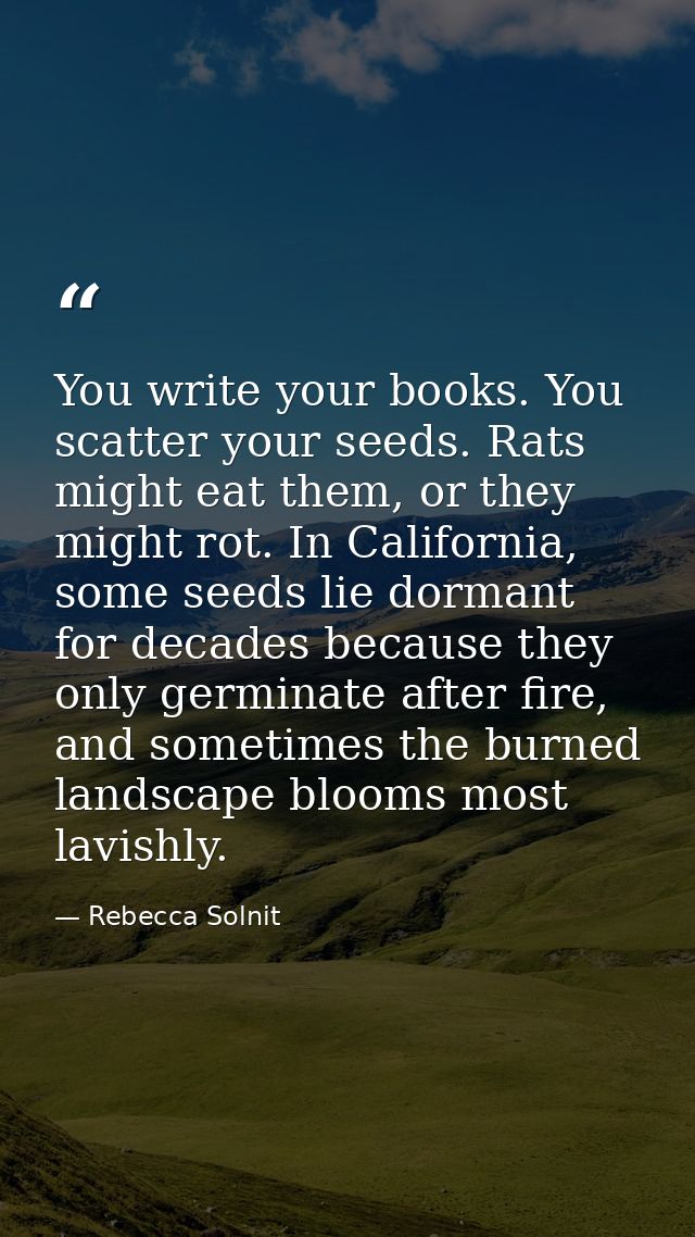 You write your books. You scatter your seeds. Rats might eat them, or they might rot. In California, some seeds lie dorm — Rebecca Solnit