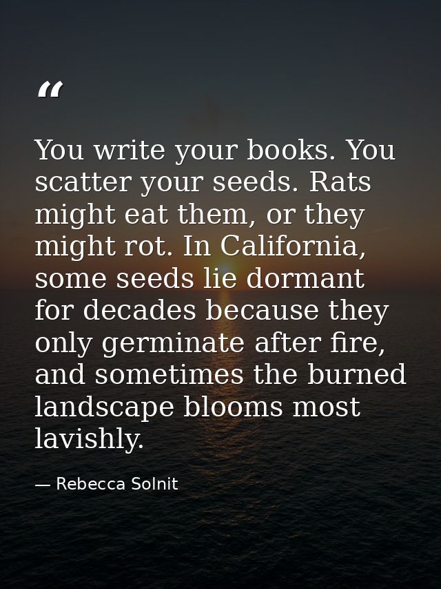 You write your books. You scatter your seeds. Rats might eat them, or they might rot. In California, some seeds lie dorm — Rebecca Solnit