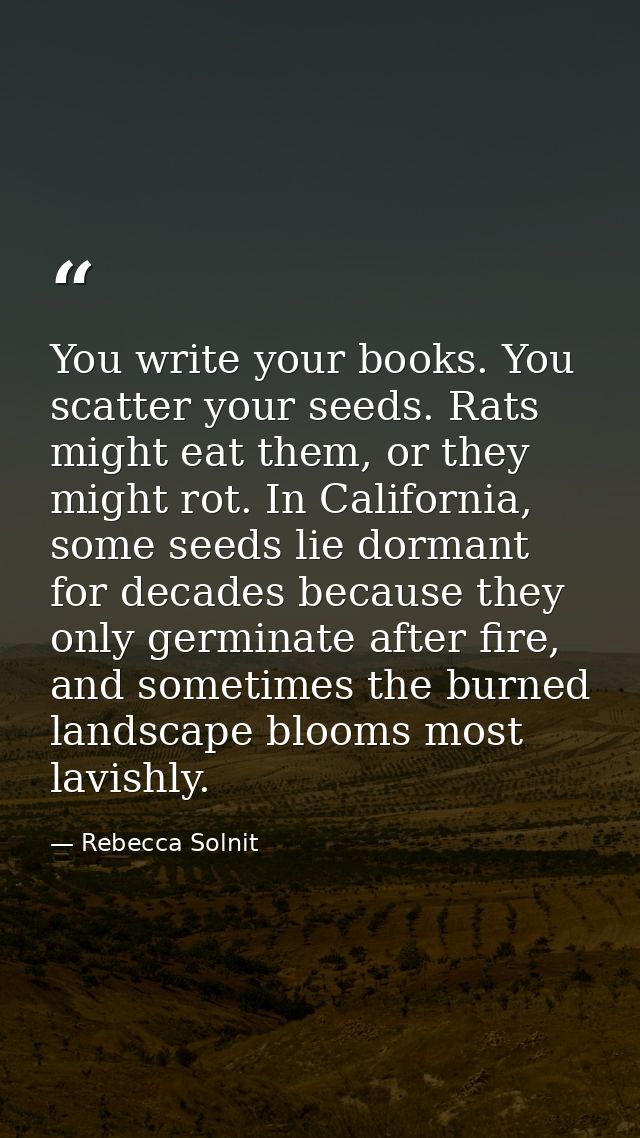 You write your books. You scatter your seeds. Rats might eat them, or they might rot. In California, some seeds lie dorm — Rebecca Solnit