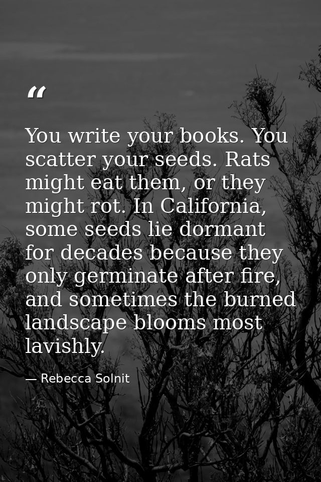 You write your books. You scatter your seeds. Rats might eat them, or they might rot. In California, some seeds lie dorm — Rebecca Solnit