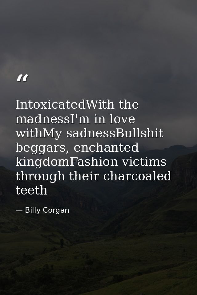 IntoxicatedWith the madnessI'm in love withMy sadnessBullshit beggars, enchanted kingdomFashion victims through their ch — Billy Corgan