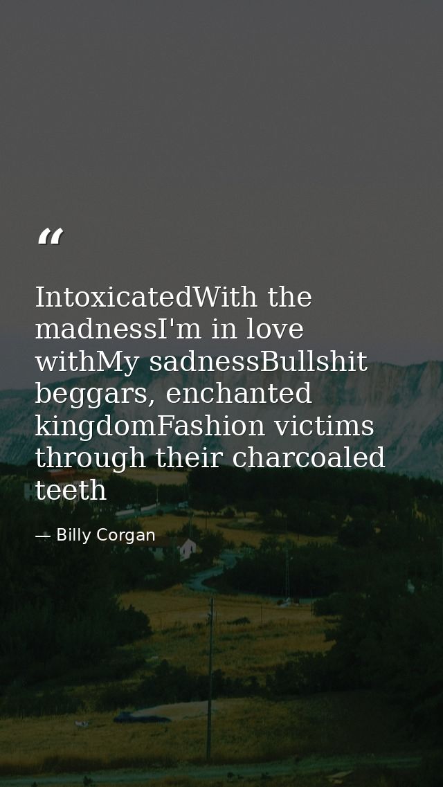 IntoxicatedWith the madnessI'm in love withMy sadnessBullshit beggars, enchanted kingdomFashion victims through their ch — Billy Corgan
