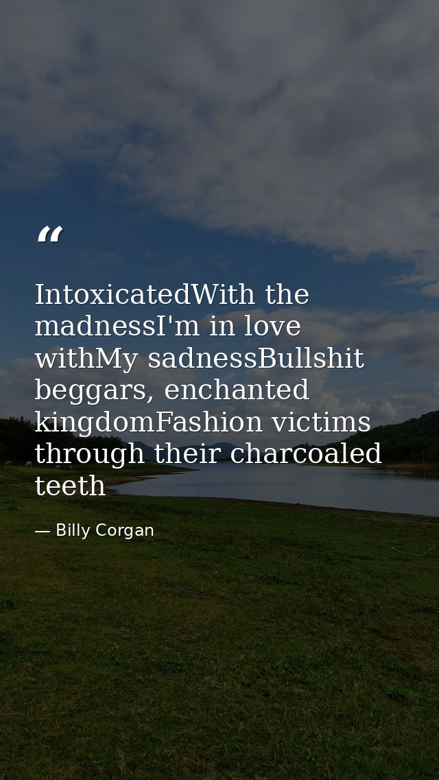 IntoxicatedWith the madnessI'm in love withMy sadnessBullshit beggars, enchanted kingdomFashion victims through their ch — Billy Corgan