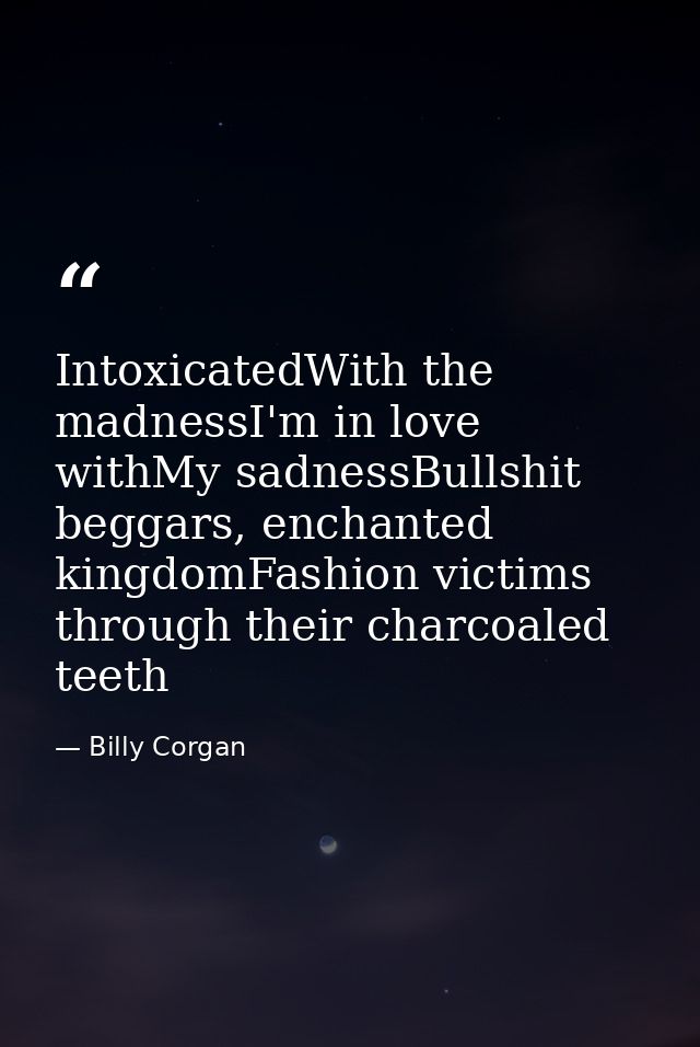 IntoxicatedWith the madnessI'm in love withMy sadnessBullshit beggars, enchanted kingdomFashion victims through their ch — Billy Corgan