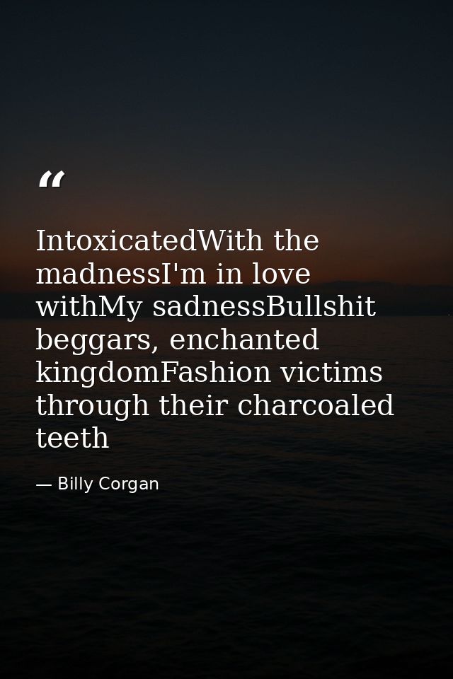 IntoxicatedWith the madnessI'm in love withMy sadnessBullshit beggars, enchanted kingdomFashion victims through their ch — Billy Corgan