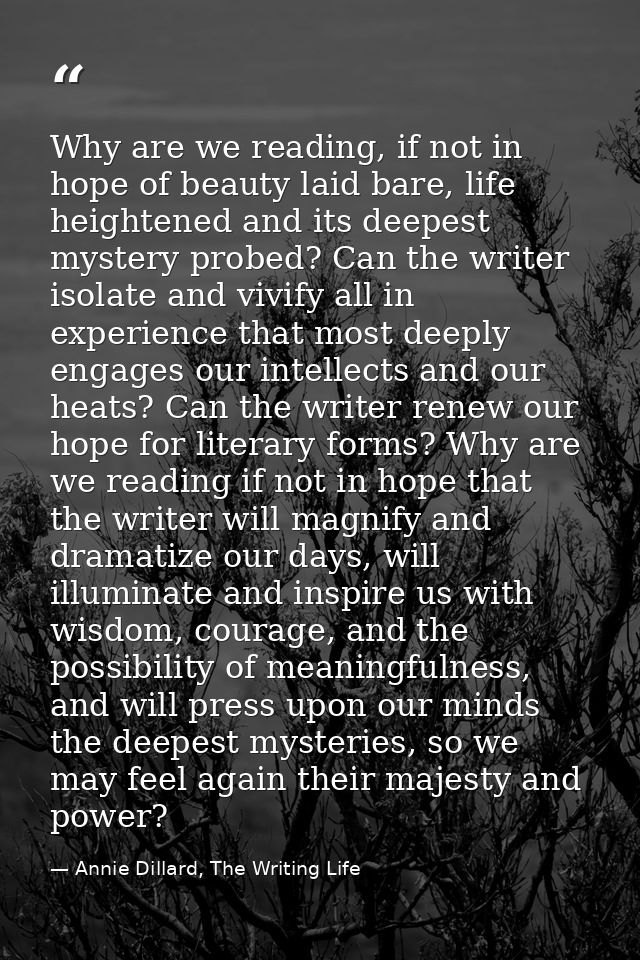 Why are we reading, if not in hope of beauty laid bare, life heightened and its deepest mystery probed? Can the writer i — Annie Dillard, The Writing Life