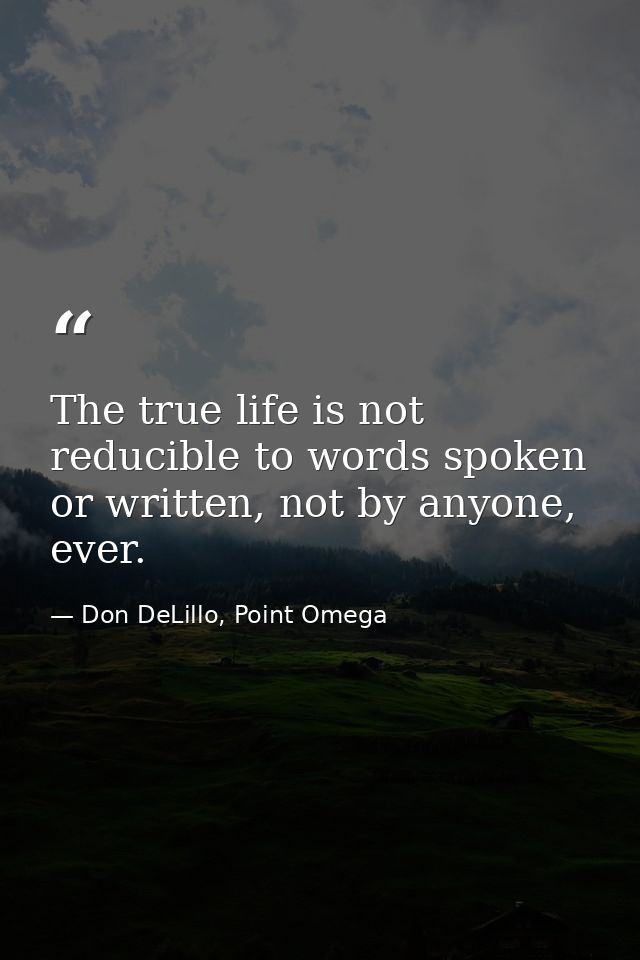 The true life is not reducible to words spoken or written, not by anyone, ever. — Don DeLillo, Point Omega