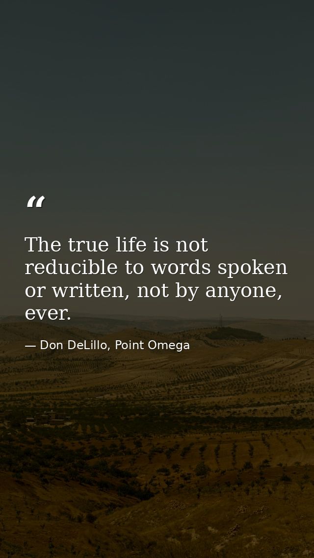The true life is not reducible to words spoken or written, not by anyone, ever. — Don DeLillo, Point Omega