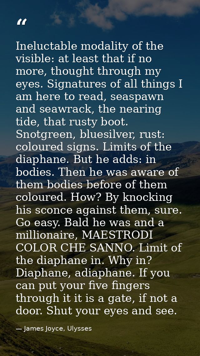 Ineluctable modality of the visible: at least that if no more, thought through my eyes. Signatures of all things I am he — James Joyce, Ulysses