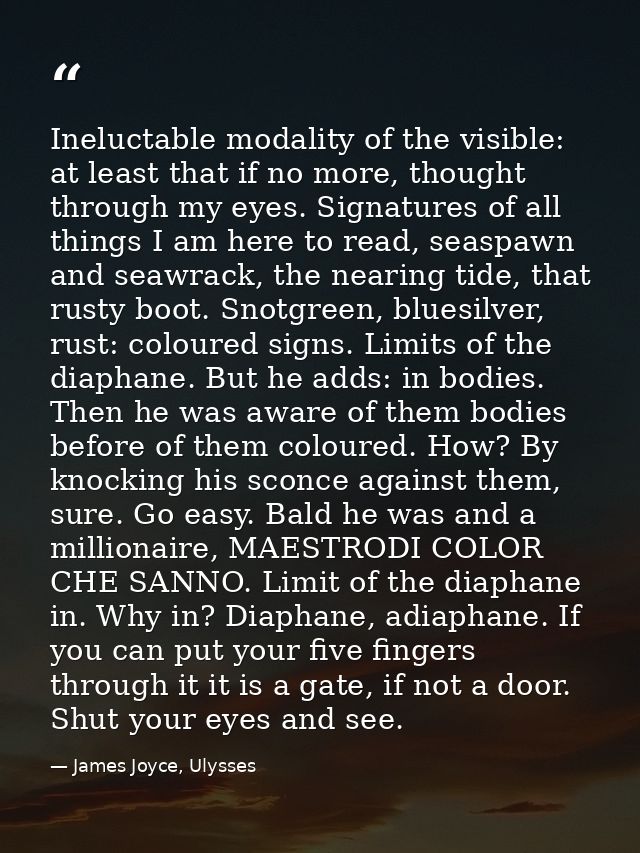 Ineluctable modality of the visible: at least that if no more, thought through my eyes. Signatures of all things I am he — James Joyce, Ulysses