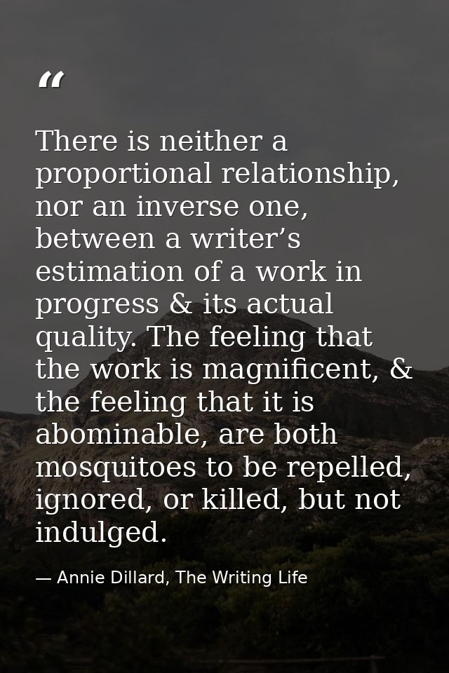 There is neither a proportional relationship, nor an inverse one, between a writer’s estimation of a work in progress &  — Annie Dillard, The Writing Life