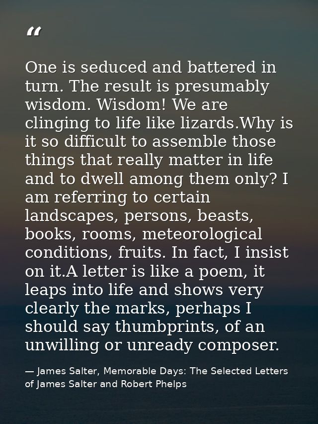 One is seduced and battered in turn. The result is presumably wisdom. Wisdom! We are clinging to life like lizards.Why i — James Salter, Memorable Days: The Selected Letters of James Salter and Robert Phelps