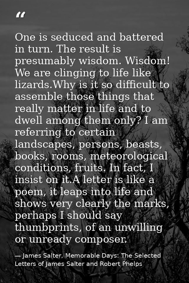 One is seduced and battered in turn. The result is presumably wisdom. Wisdom! We are clinging to life like lizards.Why i — James Salter, Memorable Days: The Selected Letters of James Salter and Robert Phelps