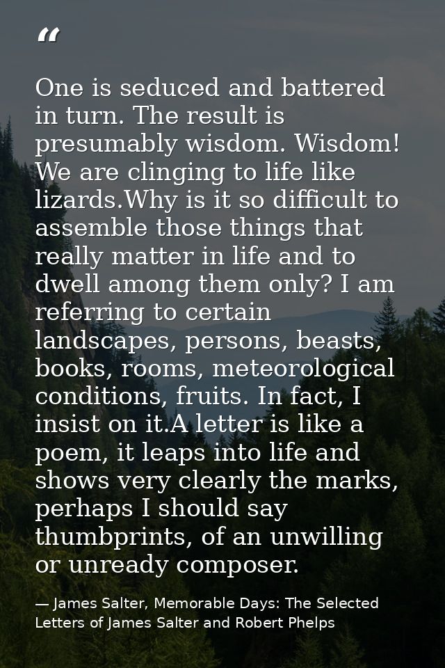 One is seduced and battered in turn. The result is presumably wisdom. Wisdom! We are clinging to life like lizards.Why i — James Salter, Memorable Days: The Selected Letters of James Salter and Robert Phelps