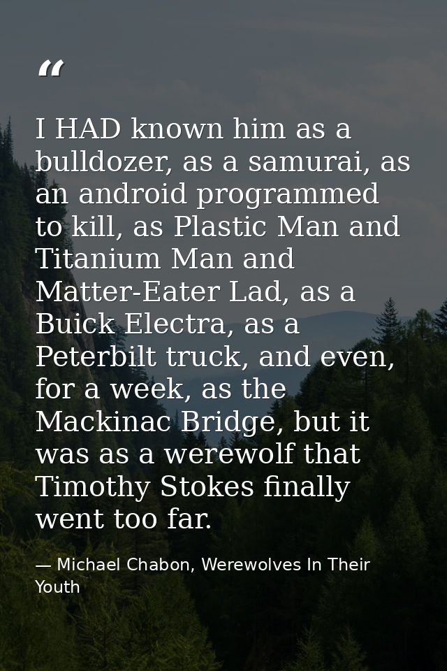 I HAD known him as a bulldozer, as a samurai, as an android programmed to kill, as Plastic Man and Titanium Man and Matt — Michael Chabon, Werewolves In Their Youth