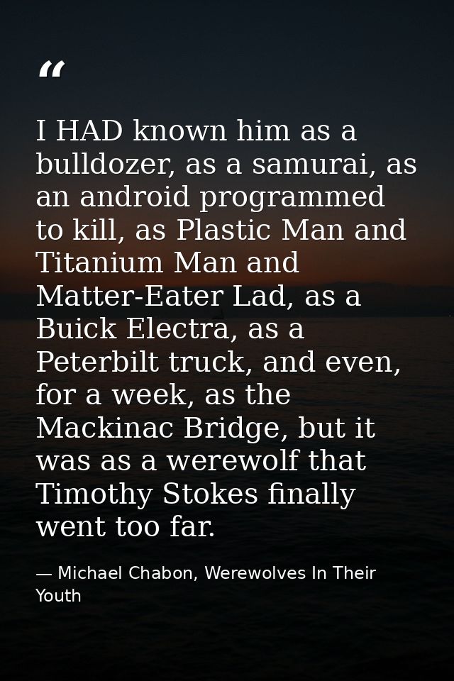 I HAD known him as a bulldozer, as a samurai, as an android programmed to kill, as Plastic Man and Titanium Man and Matt — Michael Chabon, Werewolves In Their Youth
