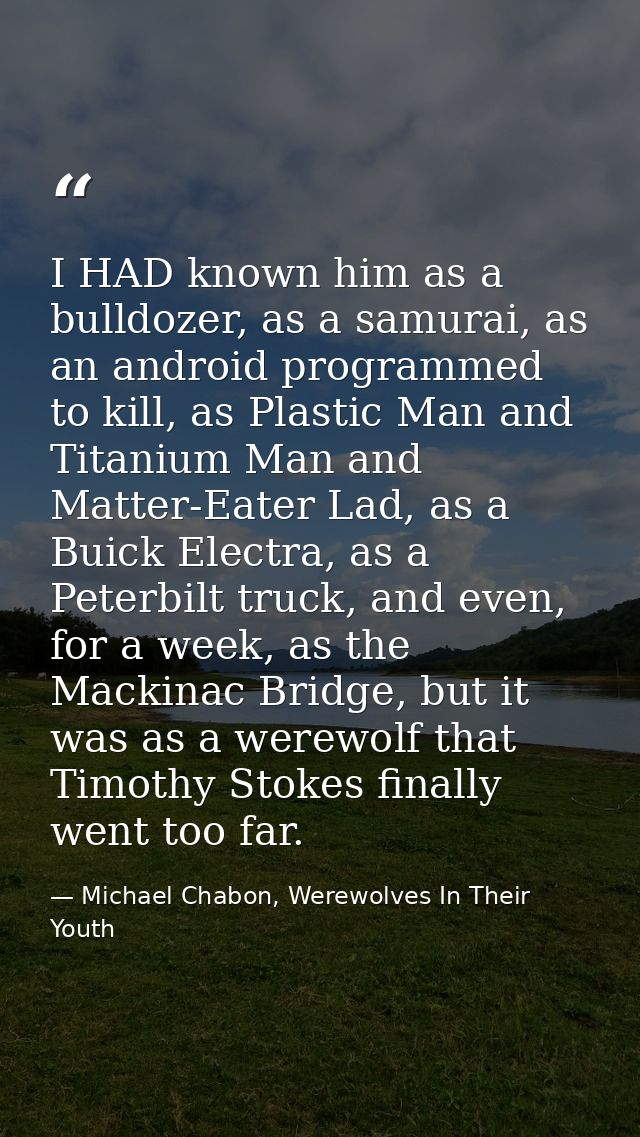 I HAD known him as a bulldozer, as a samurai, as an android programmed to kill, as Plastic Man and Titanium Man and Matt — Michael Chabon, Werewolves In Their Youth