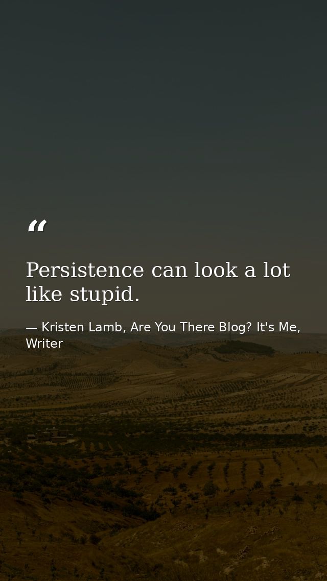 Persistence can look a lot like stupid. — Kristen Lamb, Are You There Blog? It's Me, Writer