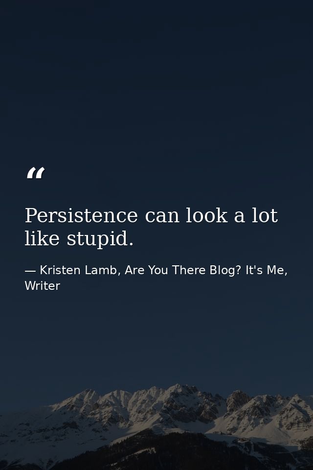 Persistence can look a lot like stupid. — Kristen Lamb, Are You There Blog? It's Me, Writer