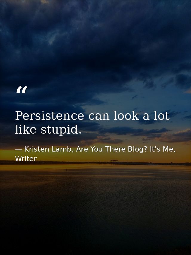 Persistence can look a lot like stupid. — Kristen Lamb, Are You There Blog? It's Me, Writer