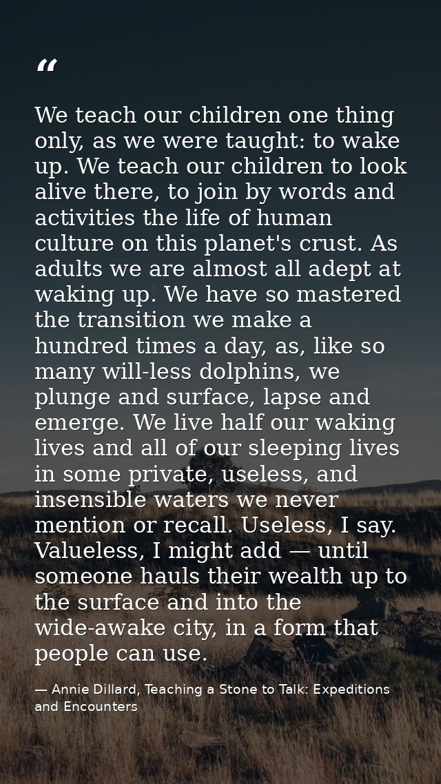 We teach our children one thing only, as we were taught: to wake up. We teach our children to look alive there, to join  — Annie Dillard, Teaching a Stone to Talk: Expeditions and Encounters