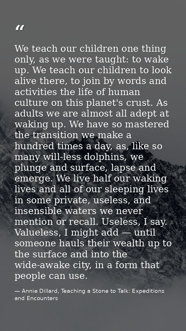 We teach our children one thing only, as we were taught: to wake up. We teach our children to look alive there, to join  — Annie Dillard, Teaching a Stone to Talk: Expeditions and Encounters