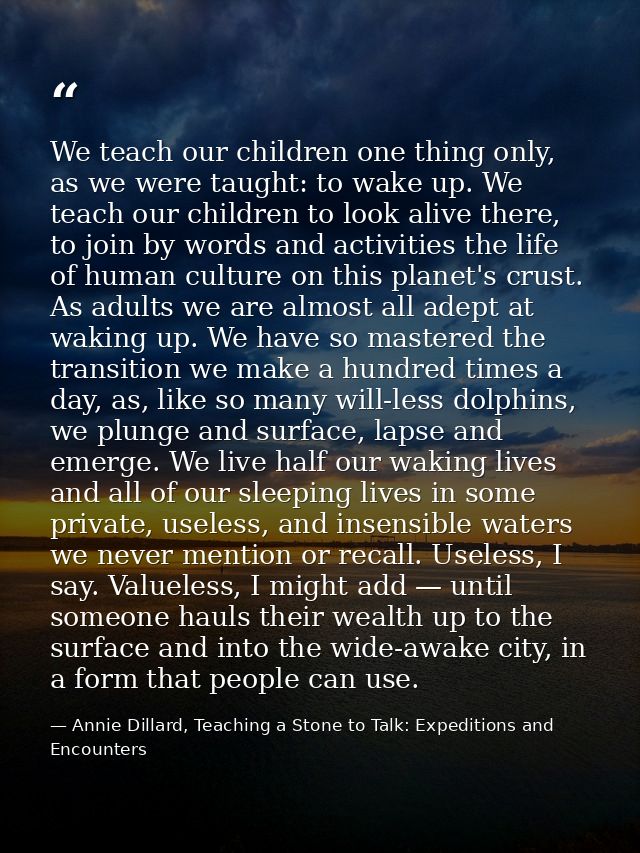 We teach our children one thing only, as we were taught: to wake up. We teach our children to look alive there, to join  — Annie Dillard, Teaching a Stone to Talk: Expeditions and Encounters
