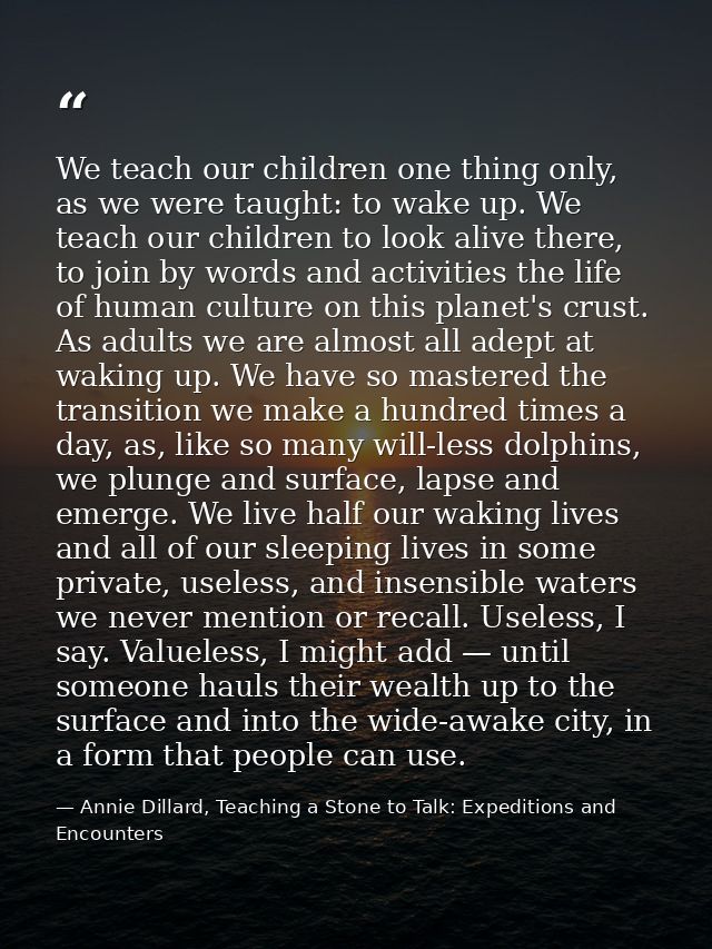 We teach our children one thing only, as we were taught: to wake up. We teach our children to look alive there, to join  — Annie Dillard, Teaching a Stone to Talk: Expeditions and Encounters