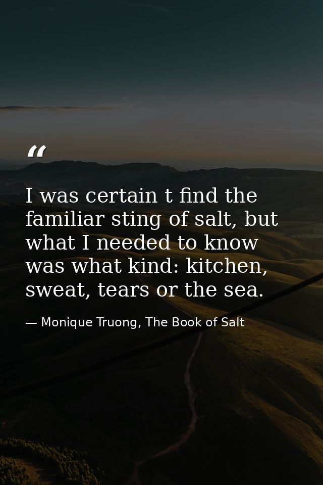 I was certain t find the familiar sting of salt, but what I needed to know was what kind: kitchen, sweat, tears or the s — Monique Truong, The Book of Salt