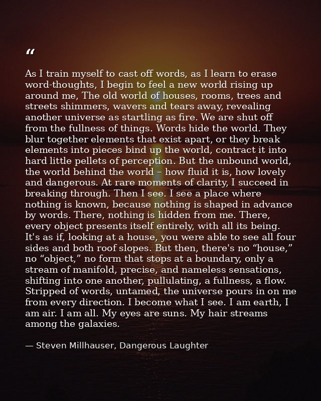 As I train myself to cast off words, as I learn to erase word-thoughts, I begin to feel a new world rising up around me, — Steven Millhauser, Dangerous Laughter