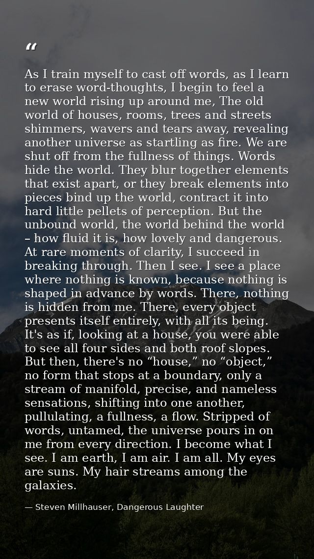 As I train myself to cast off words, as I learn to erase word-thoughts, I begin to feel a new world rising up around me, — Steven Millhauser, Dangerous Laughter