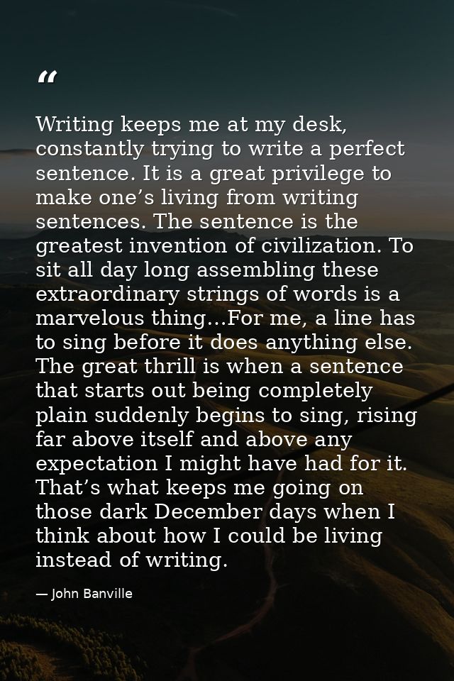 Writing keeps me at my desk, constantly trying to write a perfect sentence. It is a great privilege to make one’s living — John Banville