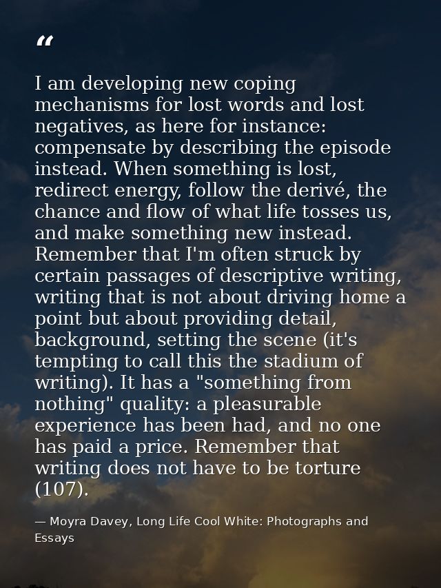 I am developing new coping mechanisms for lost words and lost negatives, as here for instance: compensate by describing  — Moyra Davey, Long Life Cool White: Photographs and Essays