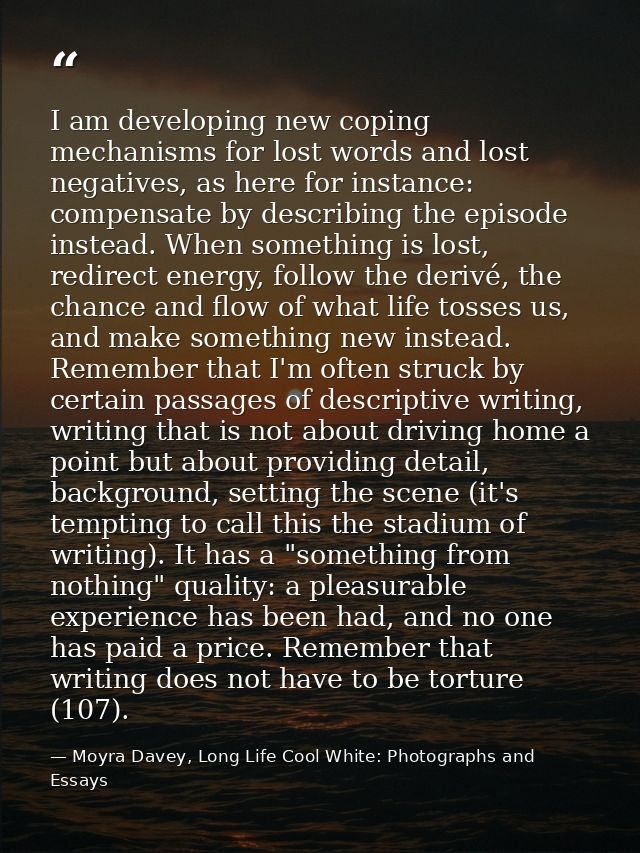 I am developing new coping mechanisms for lost words and lost negatives, as here for instance: compensate by describing  — Moyra Davey, Long Life Cool White: Photographs and Essays