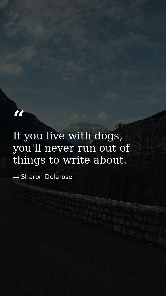 If you live with dogs, you'll never run out of things to write about. — Sharon Delarose