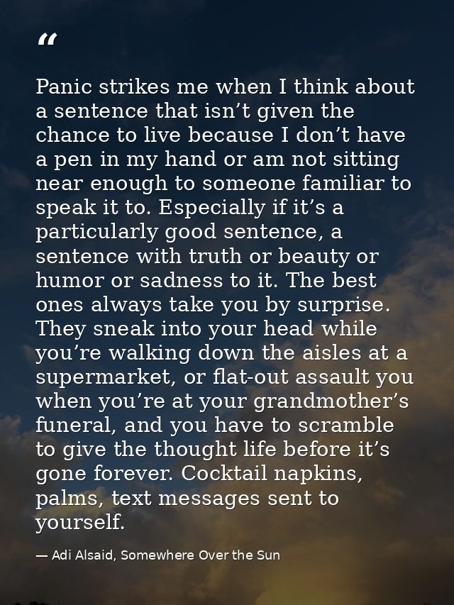 Panic strikes me when I think about a sentence that isn’t given the chance to live because I don’t have a pen in my hand — Adi Alsaid, Somewhere Over the Sun