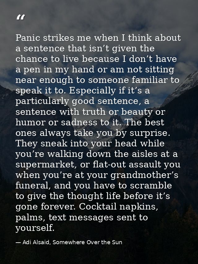 Panic strikes me when I think about a sentence that isn’t given the chance to live because I don’t have a pen in my hand — Adi Alsaid, Somewhere Over the Sun