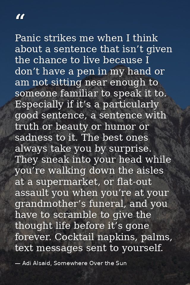 Panic strikes me when I think about a sentence that isn’t given the chance to live because I don’t have a pen in my hand — Adi Alsaid, Somewhere Over the Sun