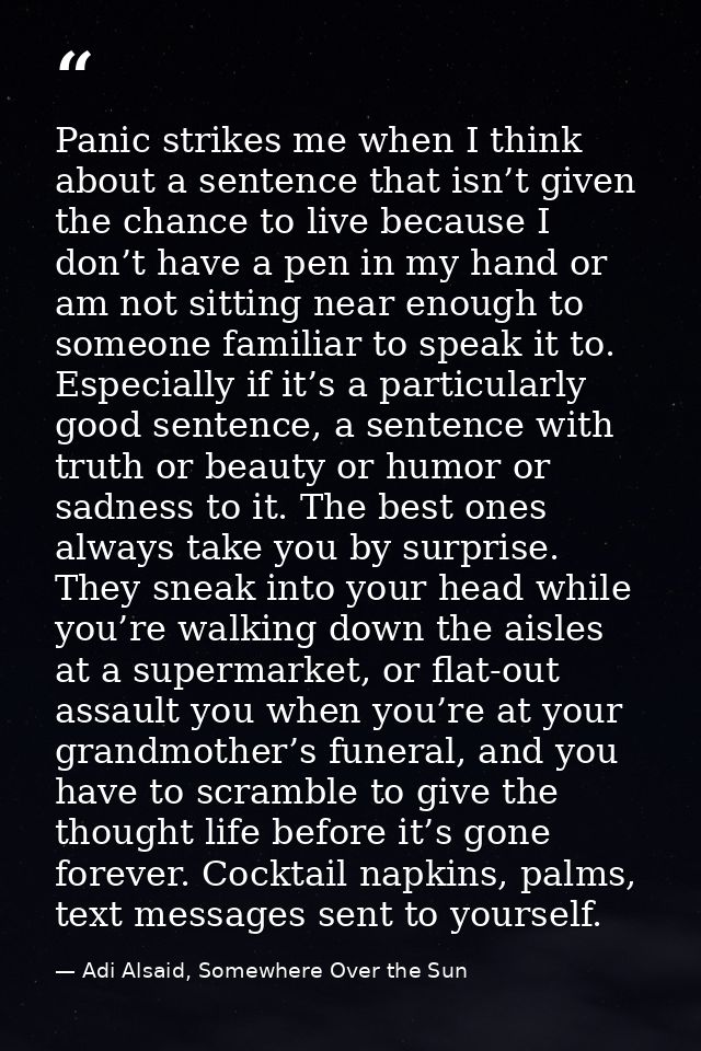 Panic strikes me when I think about a sentence that isn’t given the chance to live because I don’t have a pen in my hand — Adi Alsaid, Somewhere Over the Sun