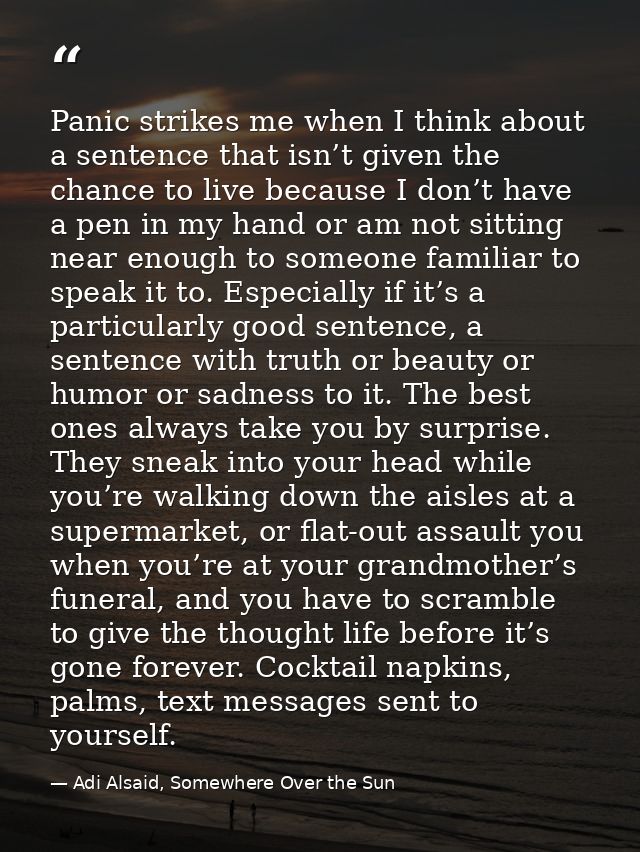 Panic strikes me when I think about a sentence that isn’t given the chance to live because I don’t have a pen in my hand — Adi Alsaid, Somewhere Over the Sun