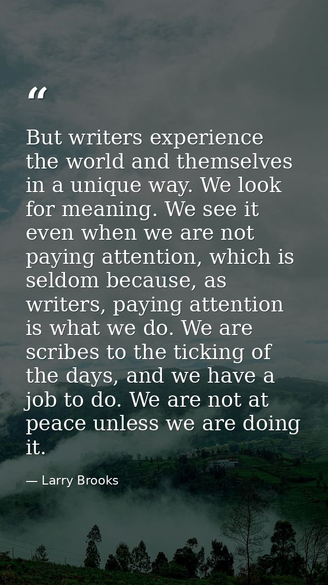 But writers experience the world and themselves in a unique way. We look for meaning. We see it even when we are not pay — Larry Brooks