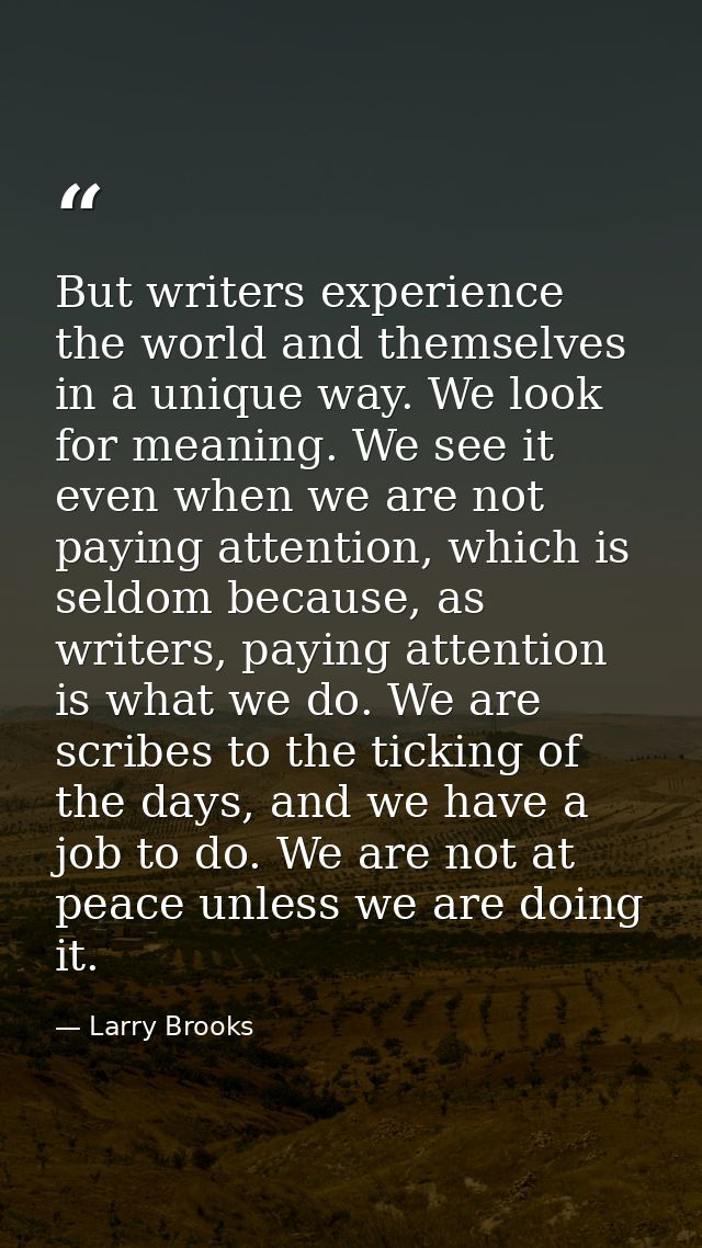 But writers experience the world and themselves in a unique way. We look for meaning. We see it even when we are not pay — Larry Brooks