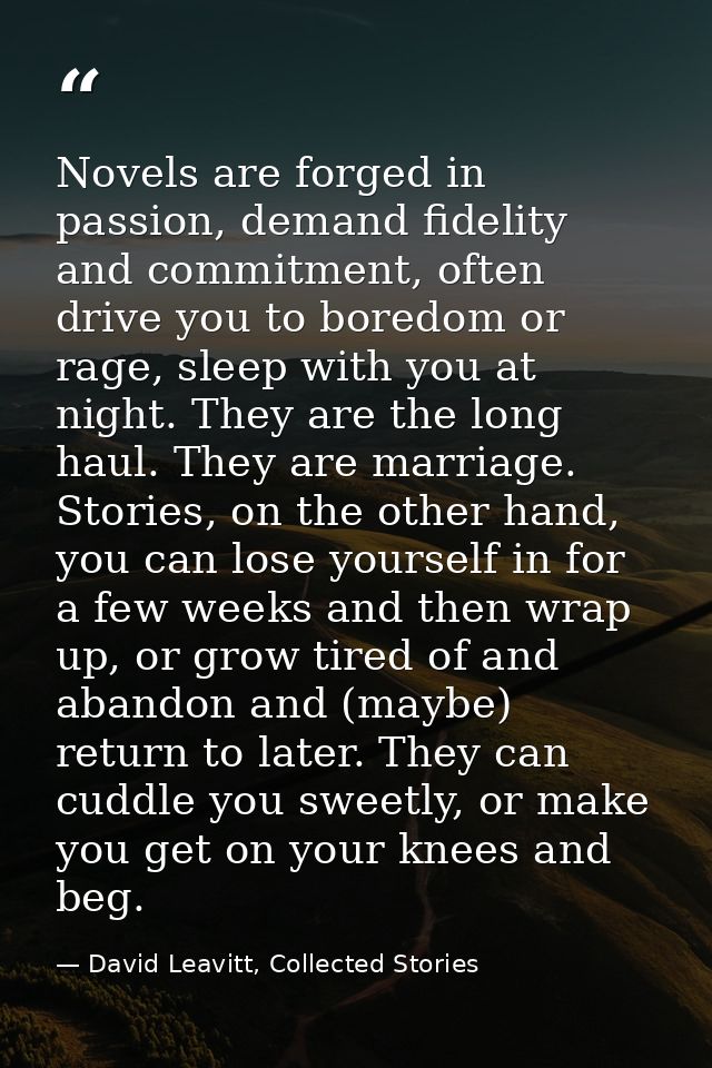 Novels are forged in passion, demand fidelity and commitment, often drive you to boredom or rage, sleep with you at nigh — David Leavitt, Collected Stories