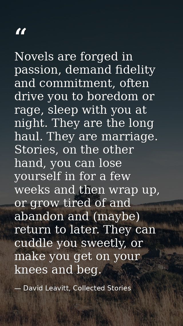 Novels are forged in passion, demand fidelity and commitment, often drive you to boredom or rage, sleep with you at nigh — David Leavitt, Collected Stories