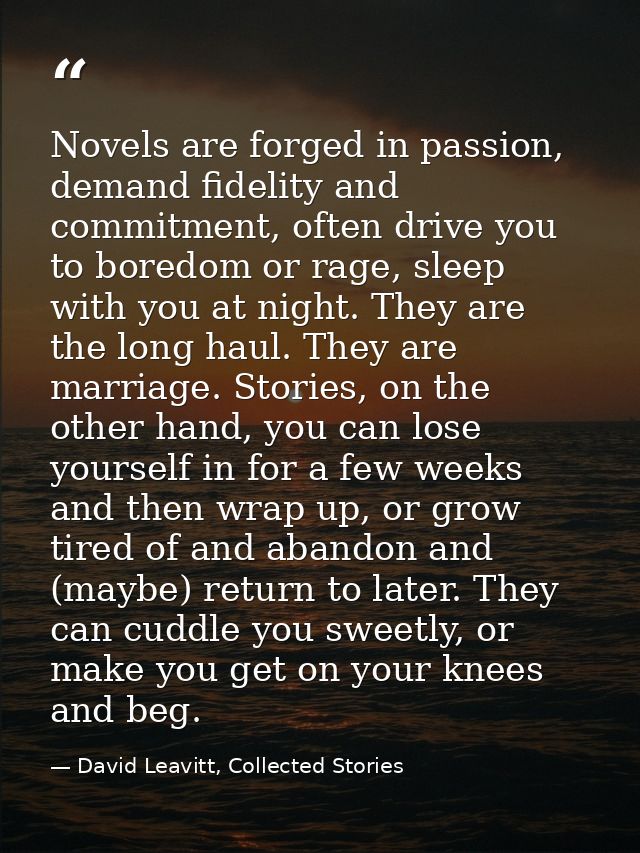 Novels are forged in passion, demand fidelity and commitment, often drive you to boredom or rage, sleep with you at nigh — David Leavitt, Collected Stories