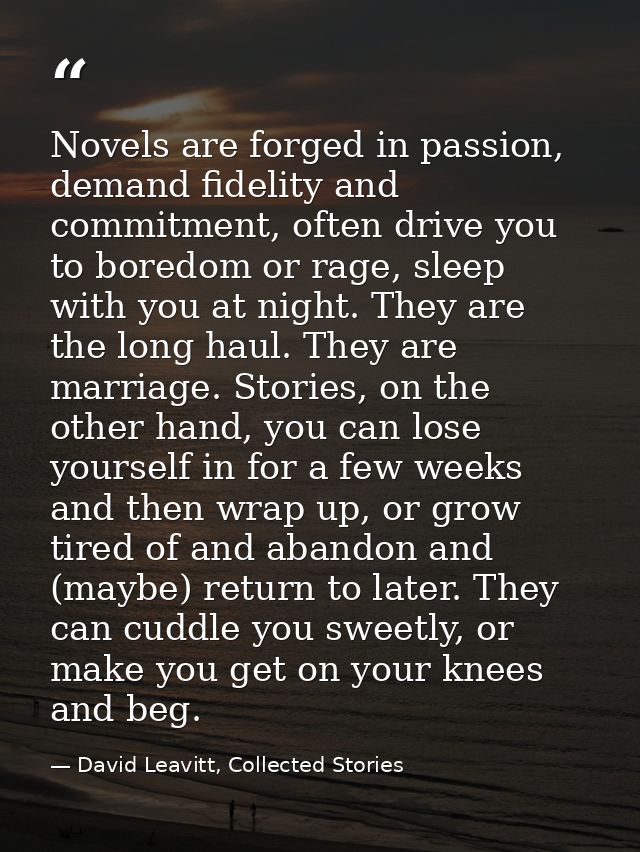 Novels are forged in passion, demand fidelity and commitment, often drive you to boredom or rage, sleep with you at nigh — David Leavitt, Collected Stories